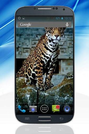 Leopard Live Wallpapers