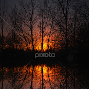 Sherbet Sunset by Jenny Gandert - Landscapes Sunsets & Sunrises