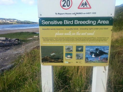 Arthur River Bird Breading Area