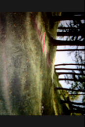 ObservationCamera poster 1