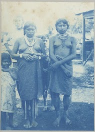 Surinaamse Caraïben