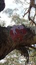 Sad Koala Art