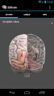 3D Brain(圖1)-速報App