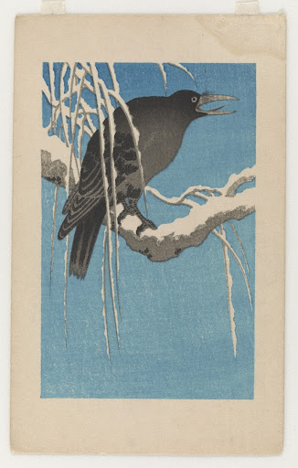 Crow on a snow-covered branch