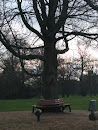 Sitzbank am Baum