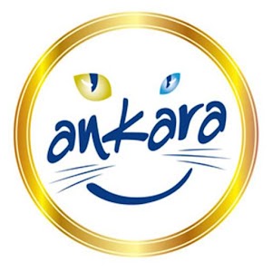 Ankara City Guide.apk 1.5