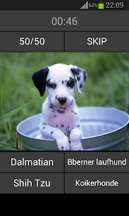 Guess the puppy Screenshots 3