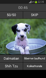 Guess the puppy poster 4