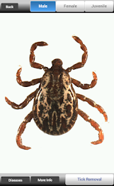 NCSU TickID poster 3