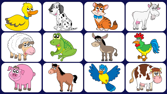 How to install Video Touch - Animals lastet apk for laptop