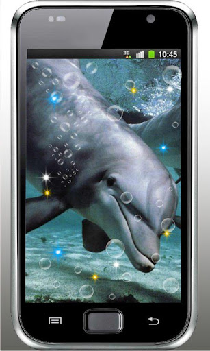 Dolphin Free HQ live wallpaper