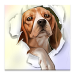 Cover Image of Download Silly Dog Live Wallpaper 1.0 APK