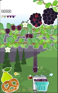 Download Black Berry Picker APK