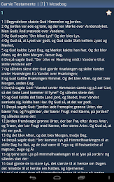 Danish Holy Bible poster 13