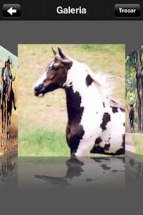 How to download Mangalarga 1.302 mod apk for bluestacks