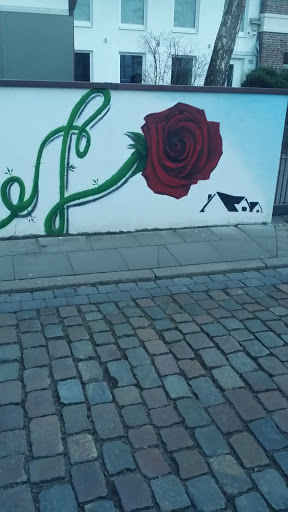 Die Rose