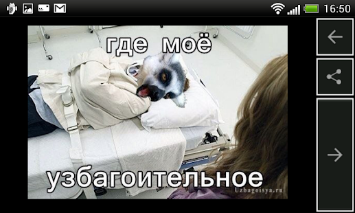 Узбагойся(圖2)-速報App