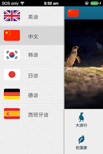 企鹅大游行，菲利普岛(圖2)-速報App