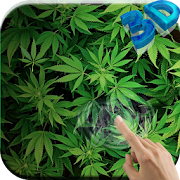 Marijuana 3D Live Wallpaper HD  Icon