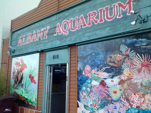 Albany Aquarium Mural