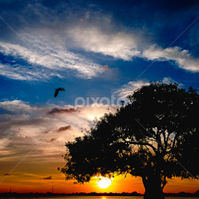  E v e n i n g B e a u t y  by MaSs Balasooriya - Landscapes Sunsets & Sunrises