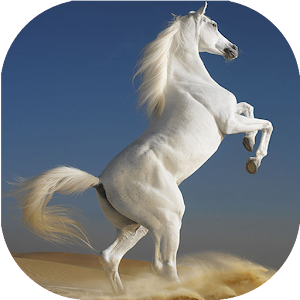 Horses Live Wallpaper 2.3