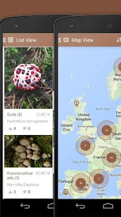 iKnow Mushrooms 2 LITE(圖7)-速報App