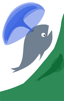 Helicopter Whale