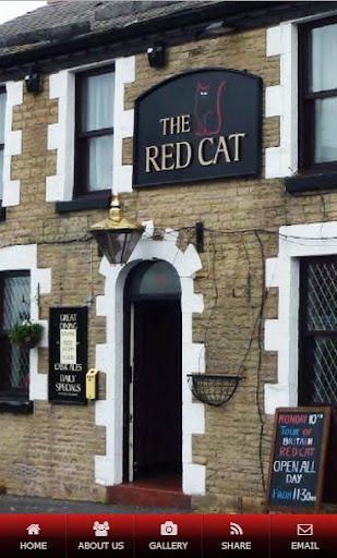 The Red Cat