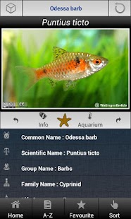 Download Fish World APK for PC