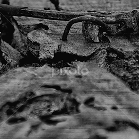 Tandem by Dwi Agung - Black & White Objects & Still Life