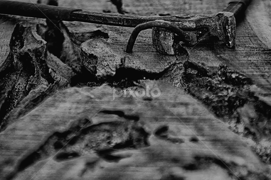 Tandem by Dwi Agung - Black & White Objects & Still Life