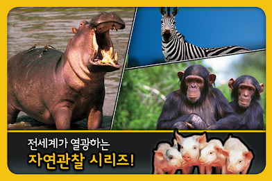 내셔널 지오그래픽 키즈 poster 2