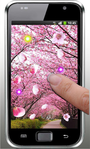 【免費個人化App】Sakura Spring live wallpaper-APP點子