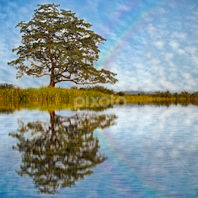 Reflection of landscape by Souvik Modak - Landscapes Forests