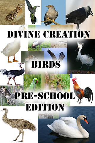 Birds Pre-School Edition