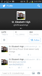 St. E Viking poster 5