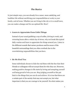 Optimal Optimization Screenshots 1