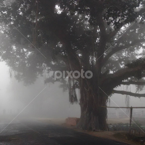 by Bihong Kollogov - Instagram & Mobile Android