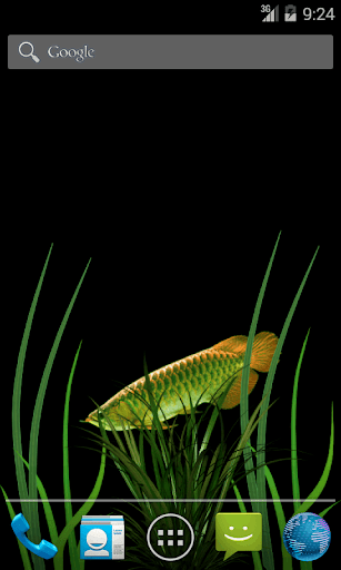 Green Fish Live Wallpaper