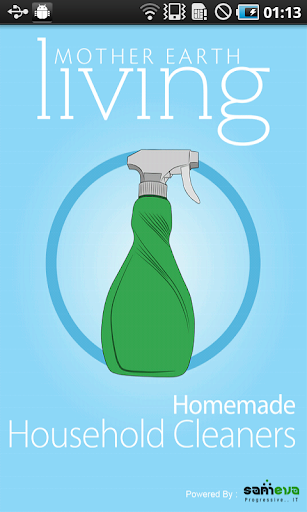 Homemade Household Cleaners