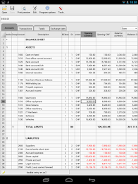 Banana Accounting 7 poster 5