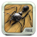 Bugs Live Wallpaper icon