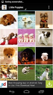 Cute Little Puppies Wallpapers Screenshots 6