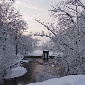 by Jonathan Aguirre - Landscapes Weather