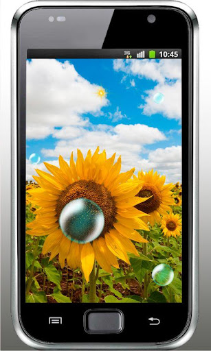 【免費個人化App】Sunflower Field live wallpaper-APP點子