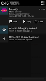 Sonic Messenger poster 10