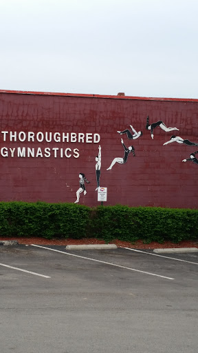 Thorough Bred Gymnastics Mural