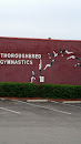 Thorough Bred Gymnastics Mural