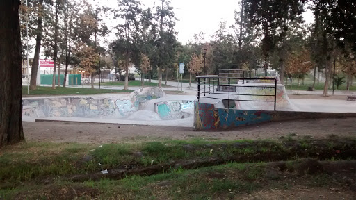 Skate Park Parque O Higgins